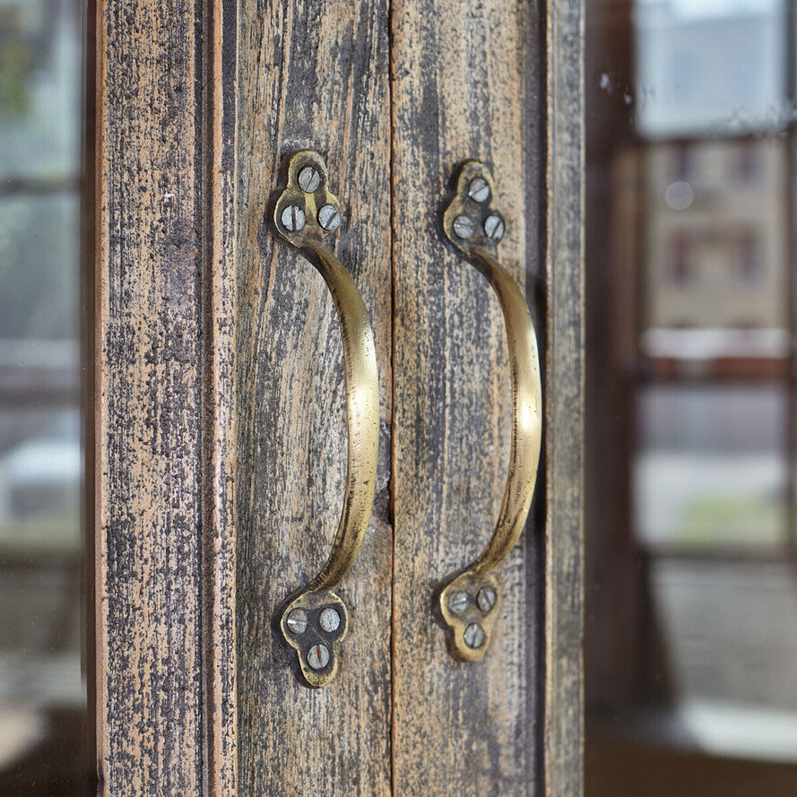 Close-up of a wooden door with brass handles, blurred background
