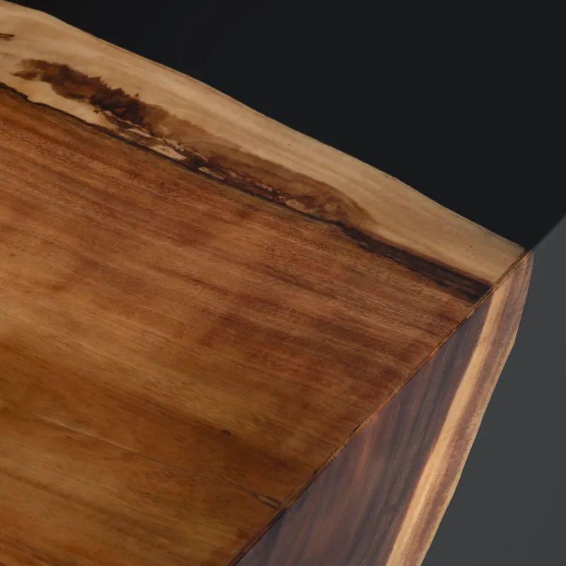 mango wood black resin table