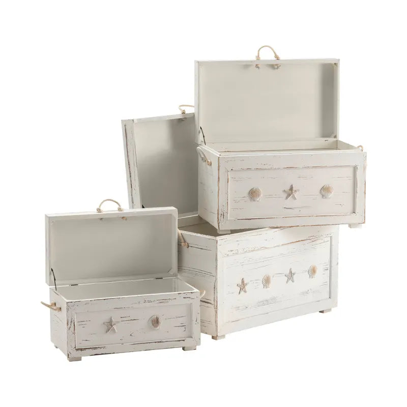 sea coastal trunks